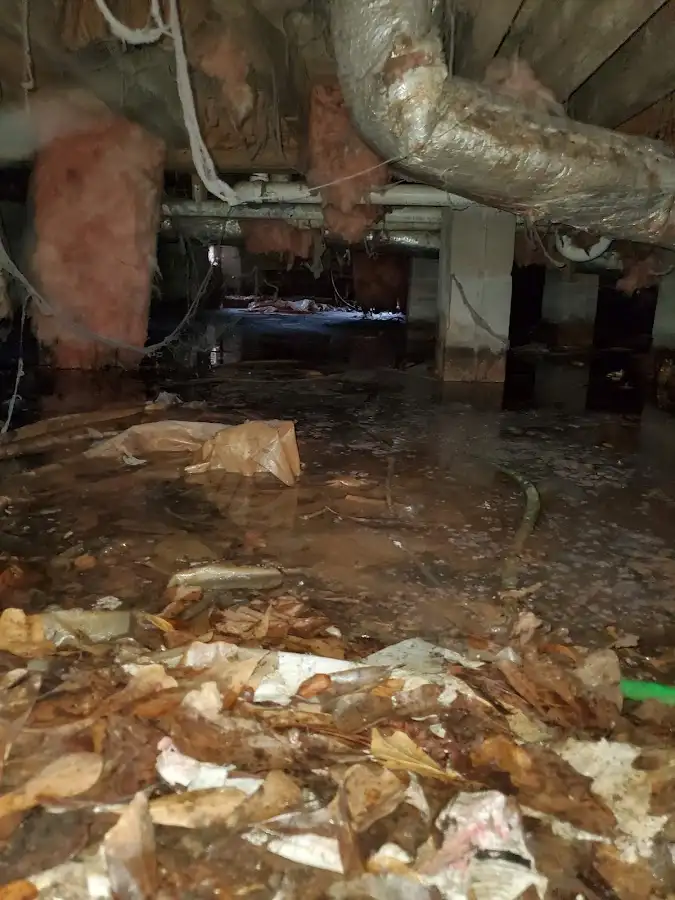 Crawl space flood assessment for Commercial Water Damage Restoration in Aloha