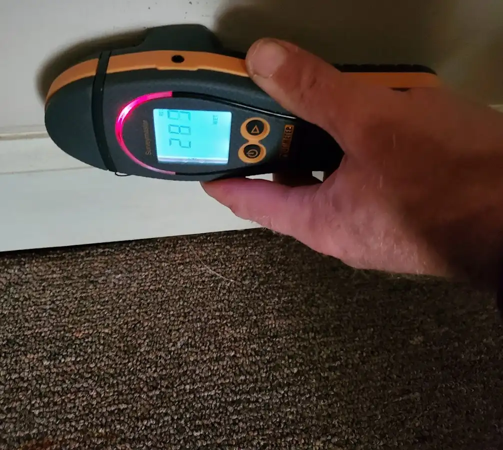Moisture detection at baseboard during Sewage Cleanup & Sanitation in Aloha